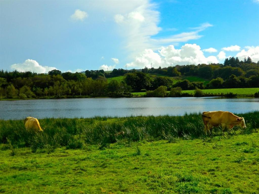 Lake House Dunmanway Zewnętrze zdjęcie