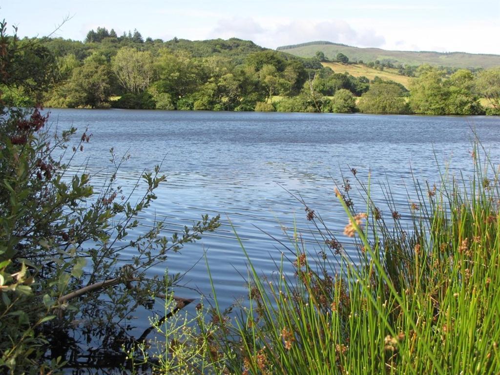 Lake House Dunmanway Zewnętrze zdjęcie
