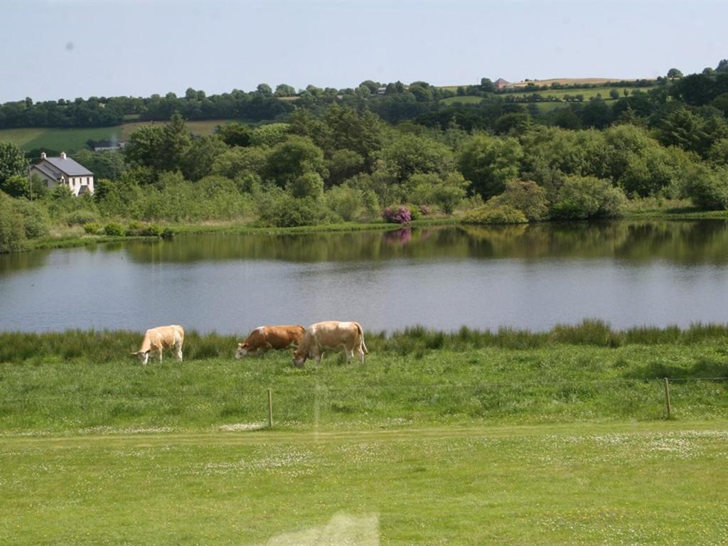 Lake House Dunmanway Zewnętrze zdjęcie