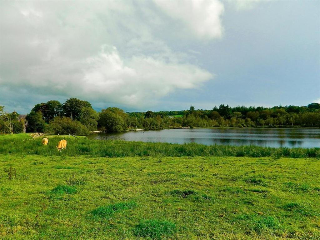 Lake House Dunmanway Zewnętrze zdjęcie